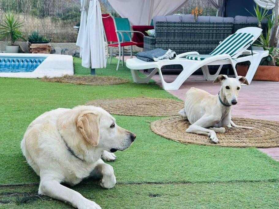 Casa Rural A 4Km De Murcia Con Piscina Y Spa Caliente Εξωτερικό φωτογραφία
