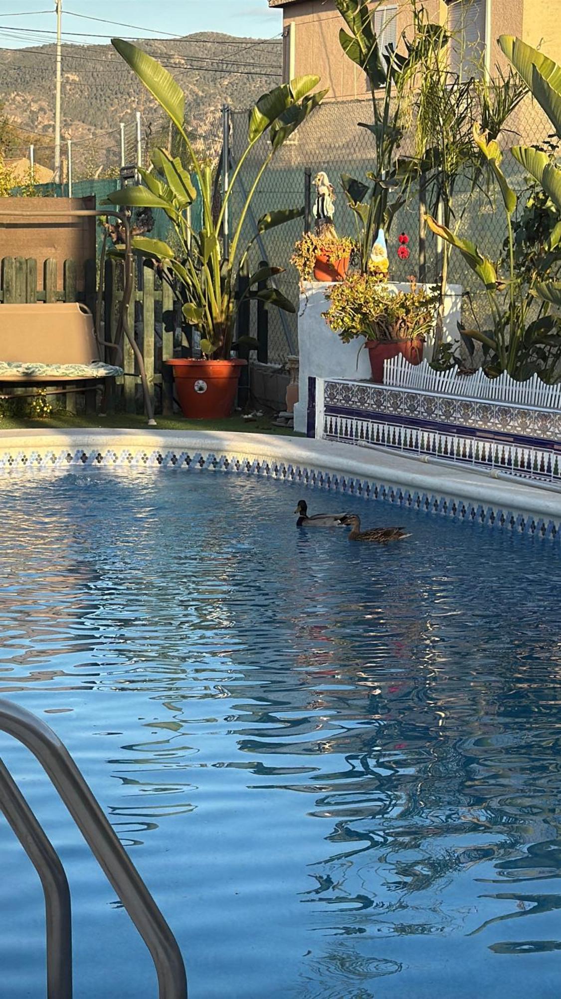 Casa Rural A 4Km De Murcia Con Piscina Y Spa Caliente Εξωτερικό φωτογραφία